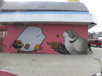 (Street Art, Astoria 2014-15)