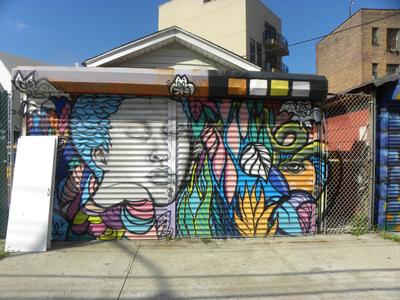 (Street Art, Astoria 2014-15)